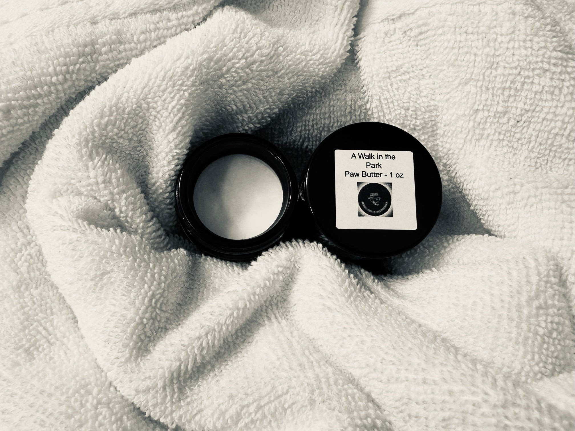 **A Walk in the Park (7/15/2023)**